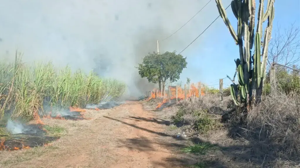 Fogo em vegetação destrói 6 hectares e mobiliza bombeiros em Cosmópolis