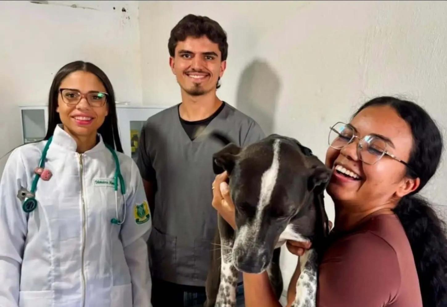Vacinação antirrábica para cães e gatos em Cosmópolis terá nova etapa no dia 2 de setembro