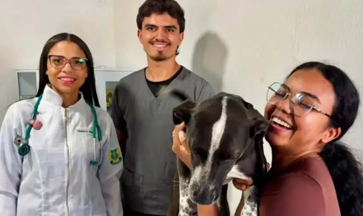 Vacinação antirrábica para cães e gatos em Cosmópolis terá nova etapa no dia 2 de setembro